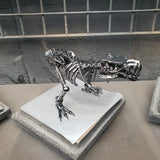 DRINOSAUR: TREX MAPDINOTREX1