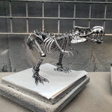 DRINOSAUR: TREX MAPDINOTREX1