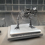 DRINOSAUR: TREX MAPDINOTREX1