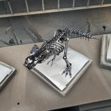 DRINOSAUR: TREX MAPDINOTREX1