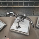 DRINOSAUR: TREX MAPDINOTREX1