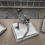 DRINOSAUR: TREX MAPDINOTREX1