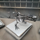 DRINOSAUR: TREX MAPDINOTREX1