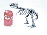 DRINOSAUR: TREX MAPDINOTREX2
