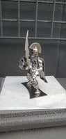 SPARTAN WARRIOR