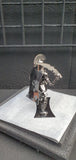 SPARTAN WARRIOR