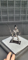 SPARTAN WARRIOR