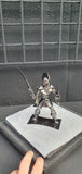 SPARTAN WARRIOR
