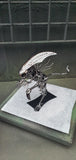 Inspired by Alien MAPALN20QA