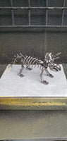 DRINOSAUR: TRICERATOPS