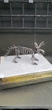 DRINOSAUR: TRICERATOPS
