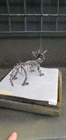 DRINOSAUR: TRICERATOPS