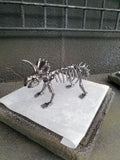 DRINOSAUR: TRICERATOPS