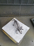 DRINOSAUR: TRICERATOPS