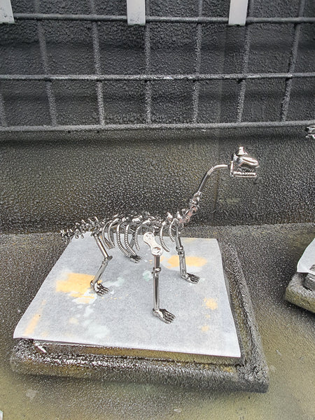 DRINOSAUR: BRACHIOUSAURUS MAPDINOBRAC