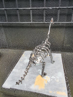 DRINOSAUR: BRACHIOUSAURUS MAPDINOBRAC