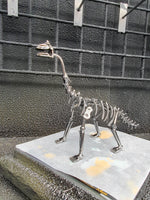 DRINOSAUR: BRACHIOUSAURUS MAPDINOBRAC