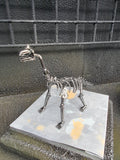 DRINOSAUR: BRACHIOUSAURUS MAPDINOBRAC