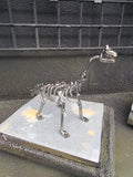 DRINOSAUR: BRACHIOUSAURUS MAPDINOBRAC