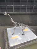 DRINOSAUR: BRACHIOUSAURUS MAPDINOBRAC
