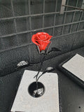 FLOWER ROSE MAPROSE