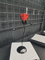 FLOWER ROSE MAPROSE
