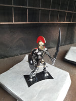 SPARTAN WARRIOR