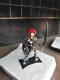 SPARTAN WARRIOR