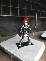 SPARTAN WARRIOR