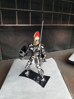 SPARTAN WARRIOR