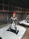SPARTAN WARRIOR