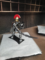 SPARTAN WARRIOR