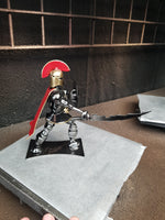SPARTAN WARRIOR