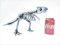 DRINOSAUR: TREX MAPDINOTREX2