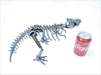DRINOSAUR: TREX MAPDINOTREX2