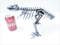 DRINOSAUR: TREX MAPDINOTREX2