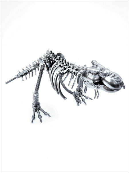 DRINOSAUR: TREX MAPDINOTREX2