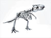 DRINOSAUR: TREX MAPDINOTREX2