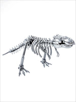 DRINOSAUR: TREX MAPDINOTREX2