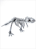 DRINOSAUR: TREX MAPDINOTREX2