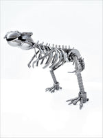 DRINOSAUR: TREX MAPDINOTREX2