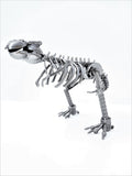 DRINOSAUR: TREX MAPDINOTREX2