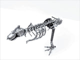 DRINOSAUR: TREX MAPDINOTREX2