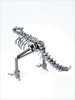 DRINOSAUR: TREX MAPDINOTREX2