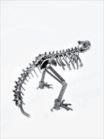 DRINOSAUR: TREX MAPDINOTREX2