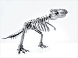 DRINOSAUR: TREX MAPDINOTREX2