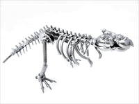 DRINOSAUR: TREX MAPDINOTREX2