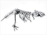 DRINOSAUR: TREX MAPDINOTREX2