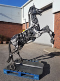 Horse Life Size