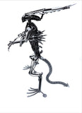 Inspired by: ALIEN MAPALN60QAB